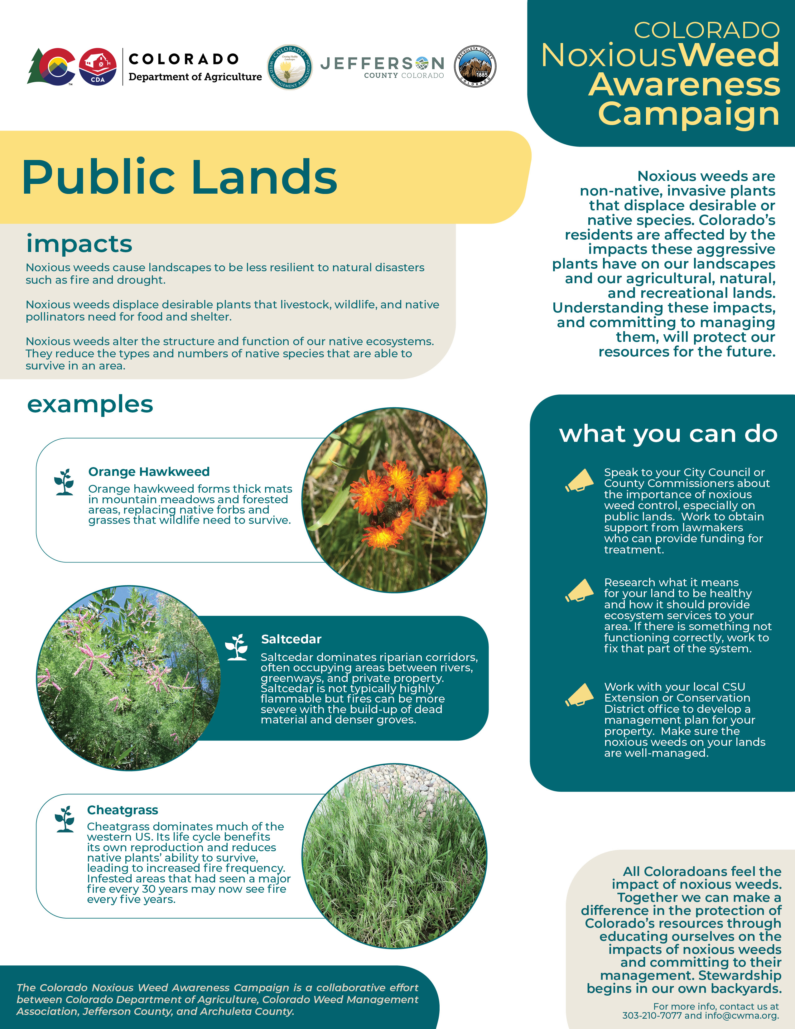 Graphic of information about managing noxious weeds on on public lands.