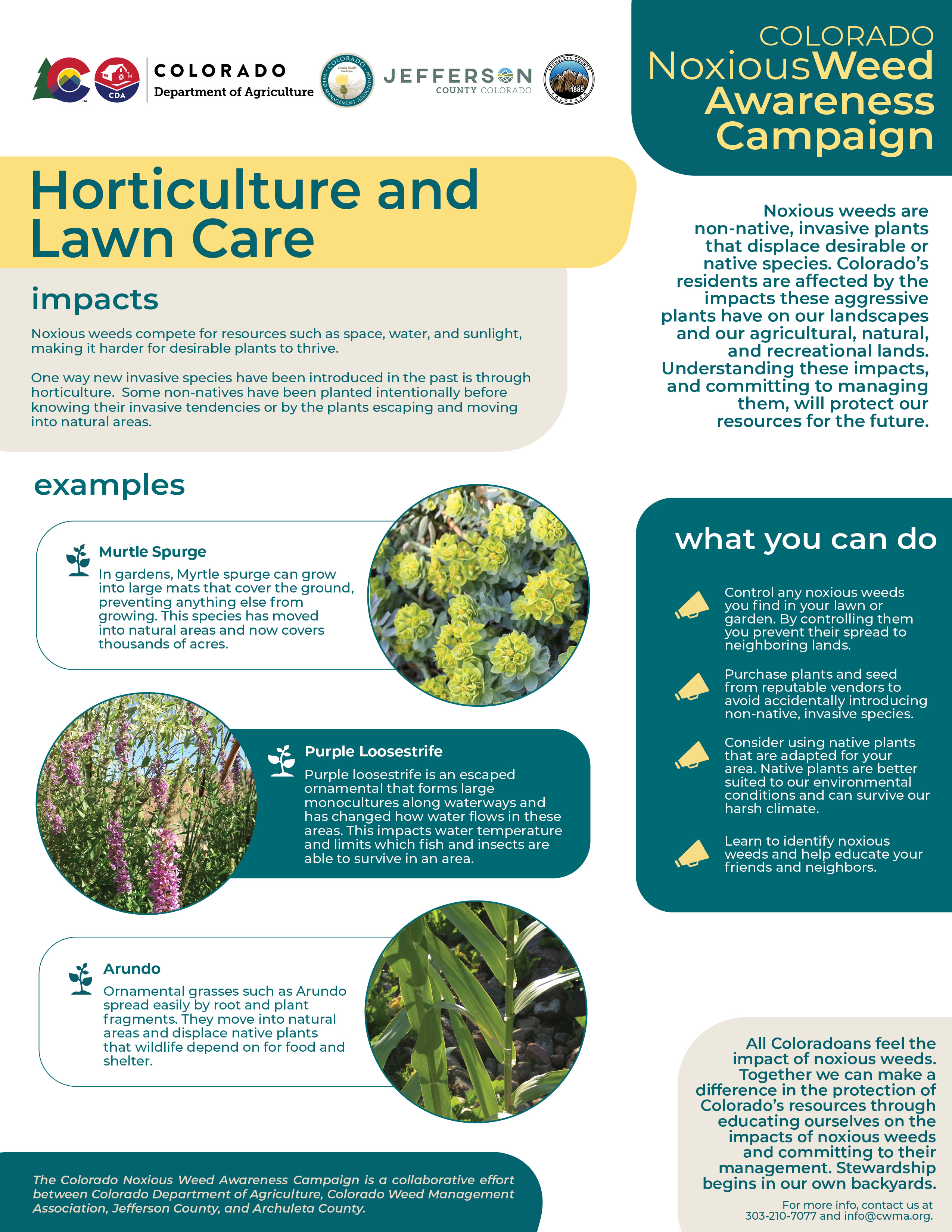 Graphic with information about impacts of noxious weeds on horticulture and landscape.
