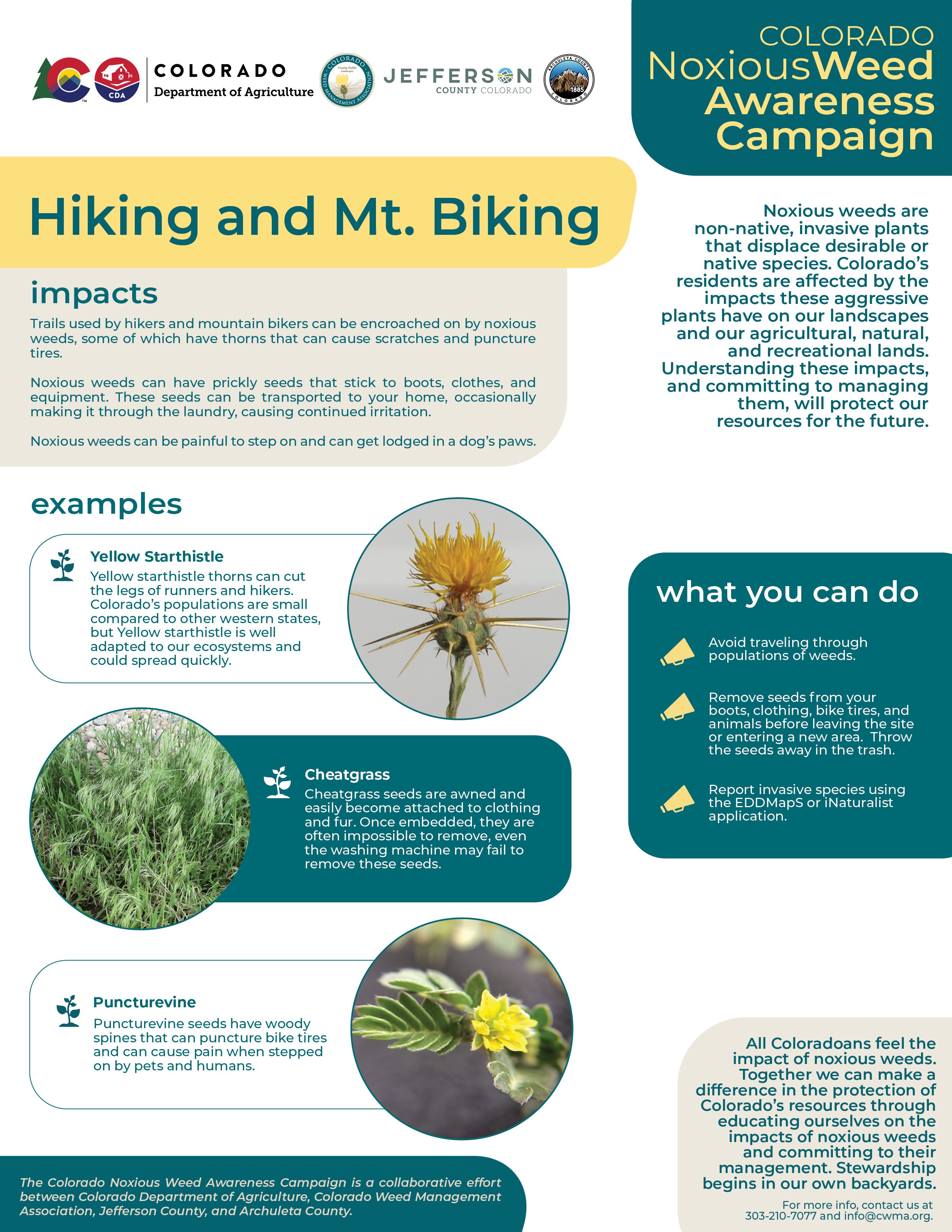 Graphic with information about noxious weeds in mountain bike and hiking trails.