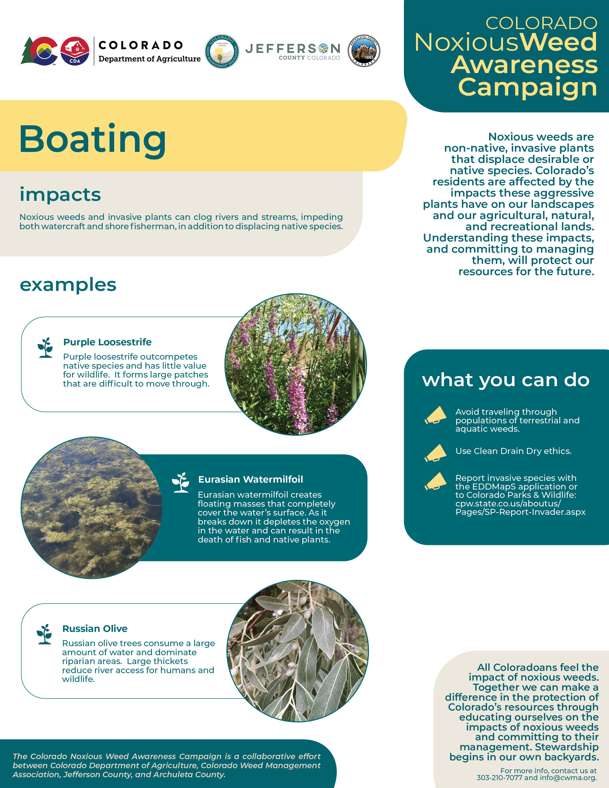 Graphic with information about how noxious weeds impact boating.