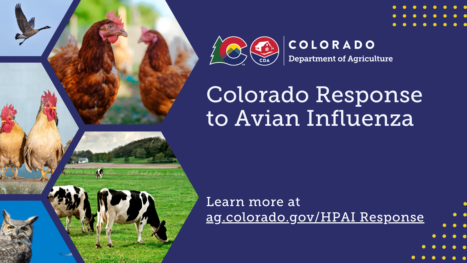 Colorado response to Avian Influenza