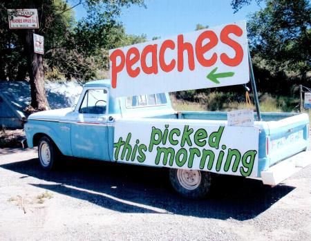 Signs displaying large bold lettering on an older model pickup truck point potential customers to "peaches picked this morning." 