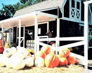 Pumpkins in front of a country store