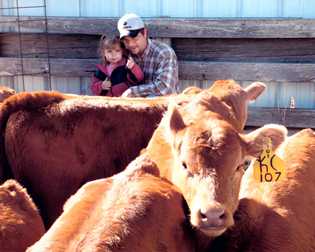 A father and daughter looking at the cattle