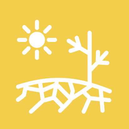 drought icon