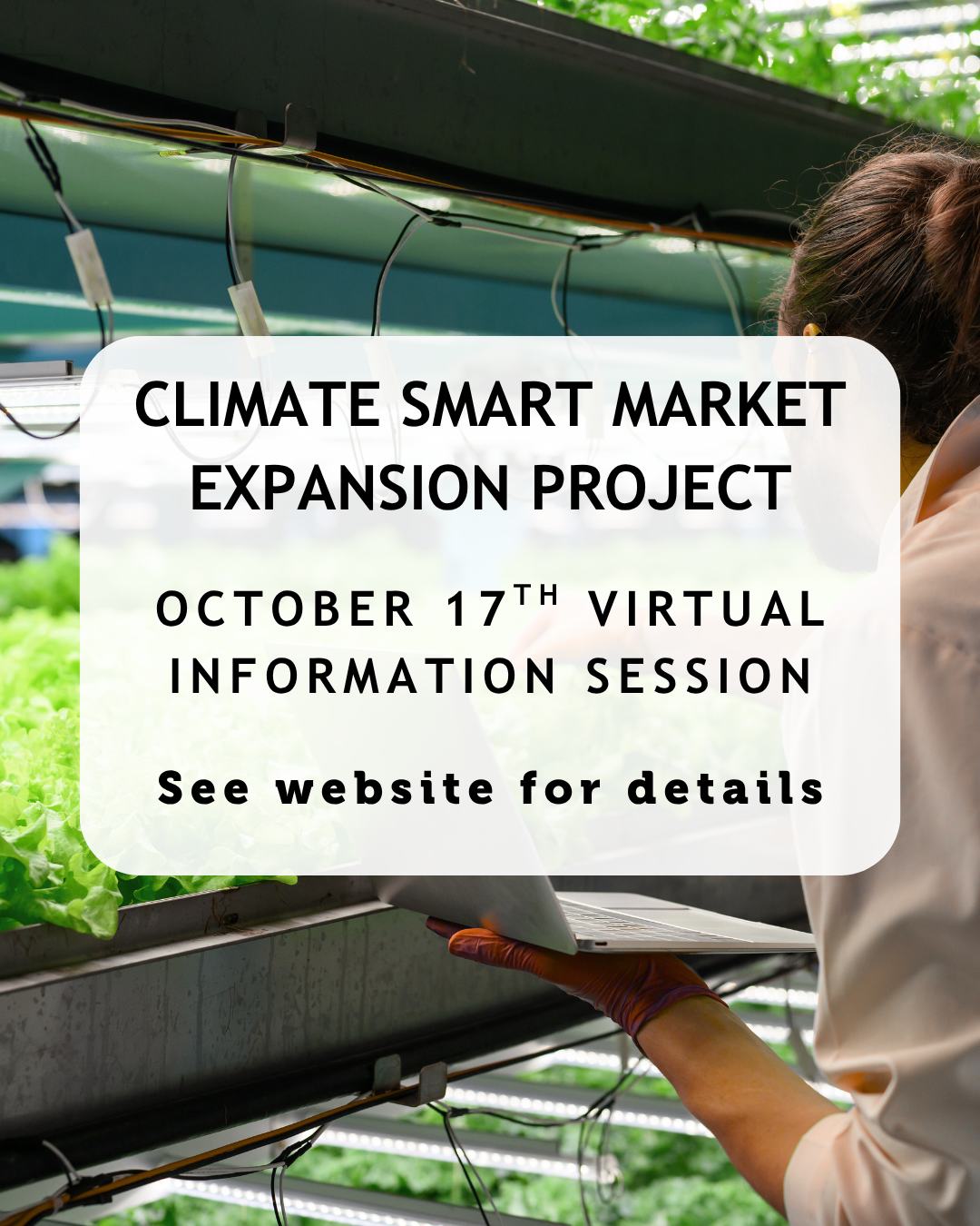 Climate Smart Market Expansion Project Information session Check VSS for more information