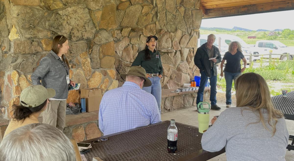 Four people, one speaking, stand in front of a group gathered at picnic tables