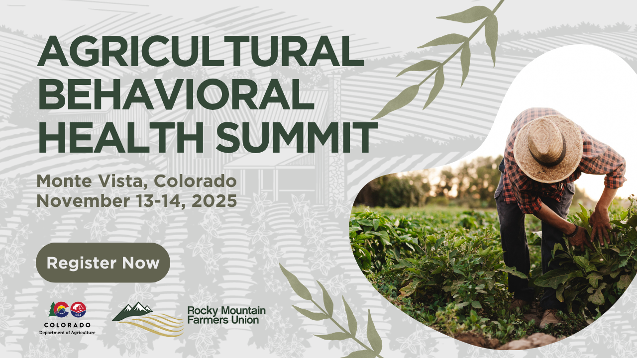 A person wearing a straw hat bending over inspecting crops in a field 