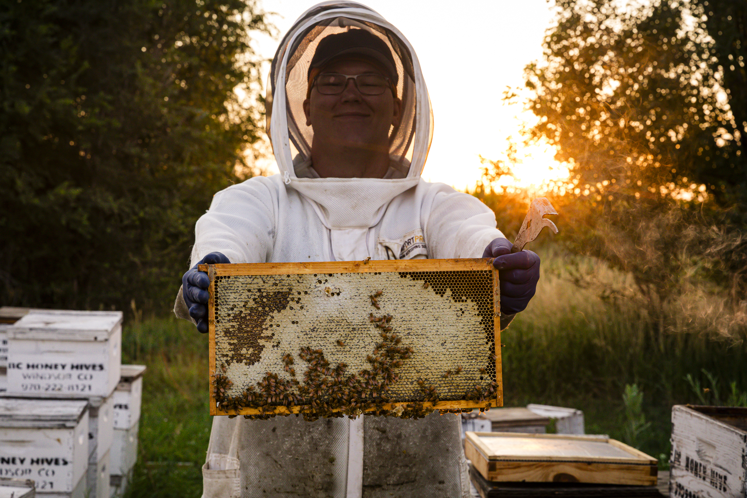 A beekeeper in a white suit shows off a honeycomb tray full of honey and bees