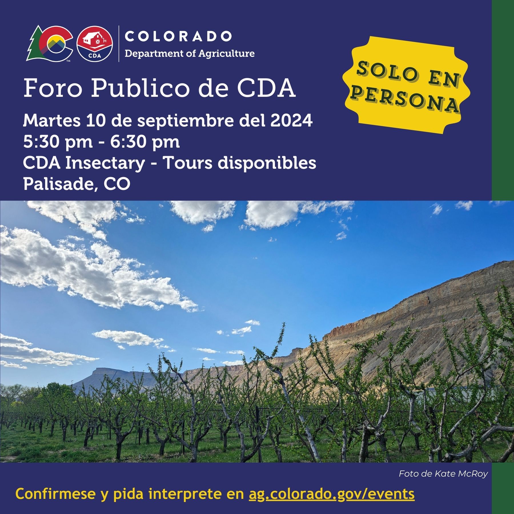 Foro Publico de CDA