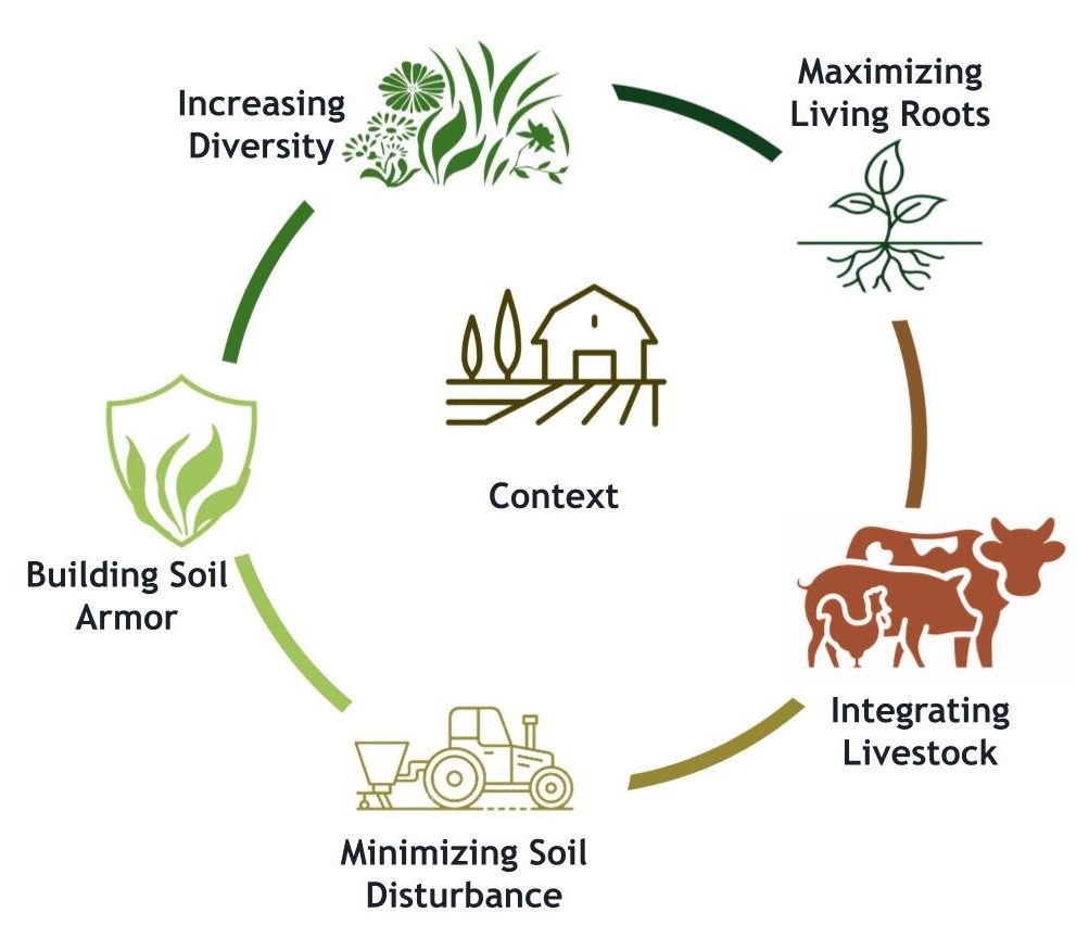 A circle with 5 graphics and the text Increasing Diversity, Maximizing Living Roots, Integrating Livestock, Minimizing Soil Disturbance, and Building Soil Armor. With the Context and a graphic of a barn in the center of the circle. 