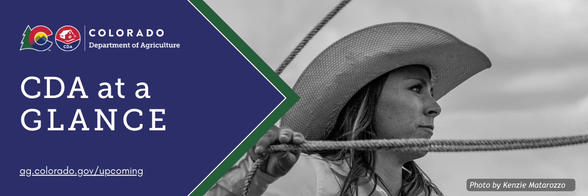 Closeup black and white image of cowgirl with lasso in hand.