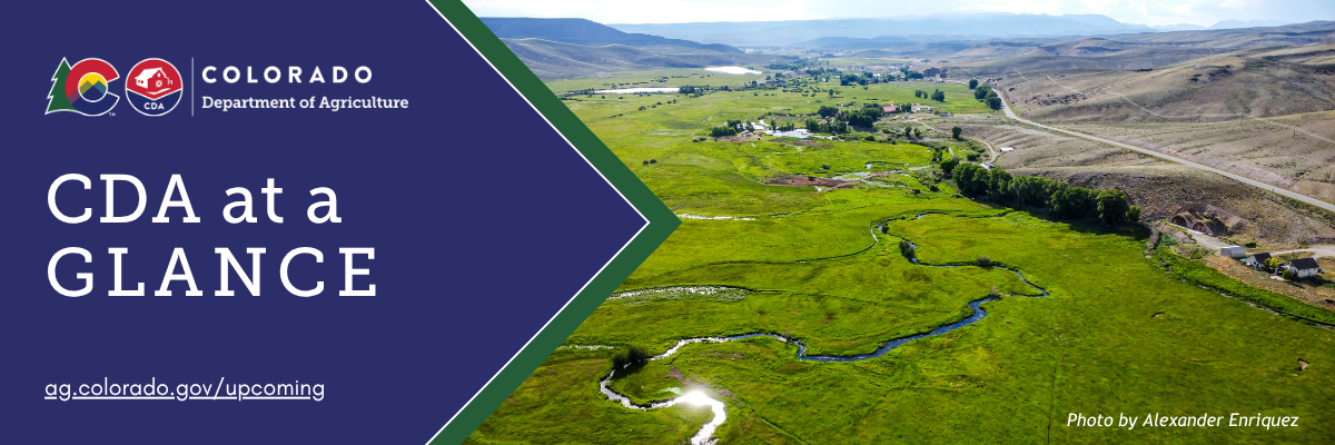A meadow with Tomichi Creek running through Gunnison Valley