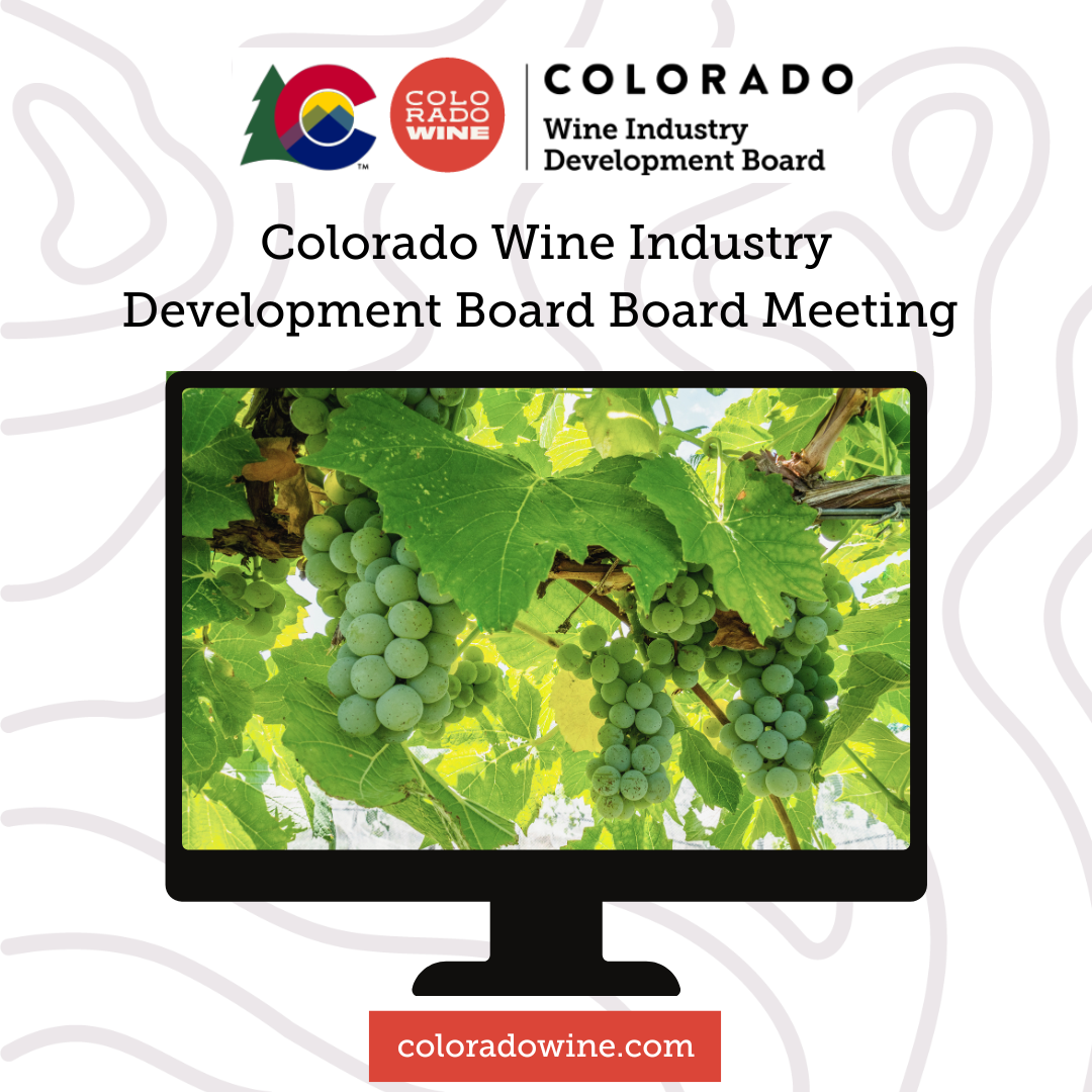 CWIDB Board Meeting computer
