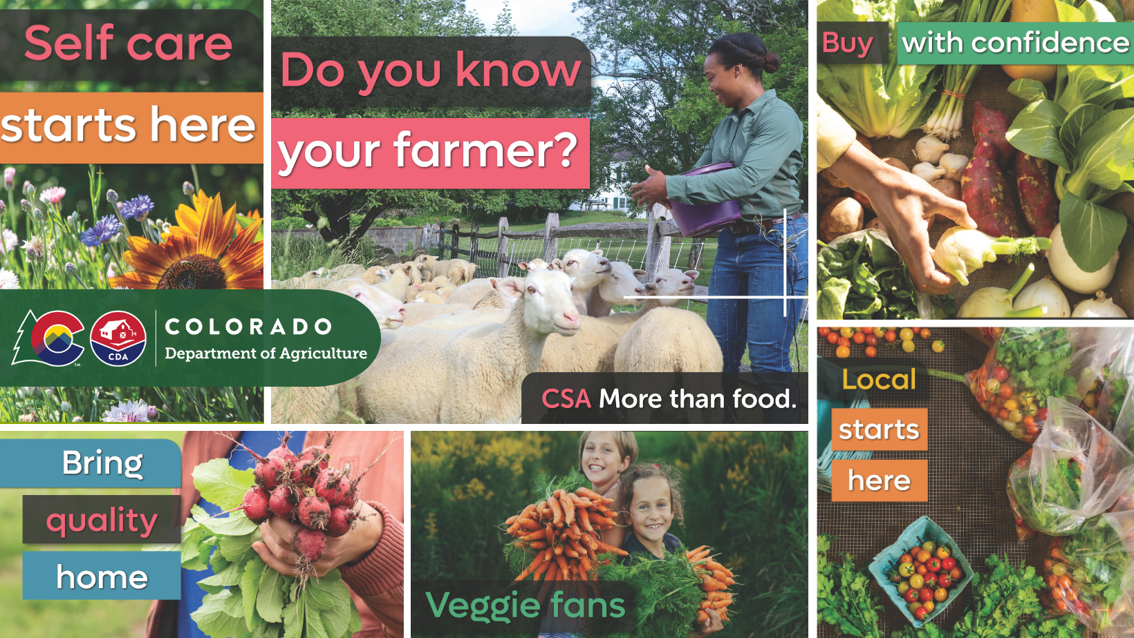 Decorative collage of images from a farm, with people, fruit, vegetables, and sheep and banners of throught-inducing messaging, like "Do you know a farmer?" and "CSA More than food." 