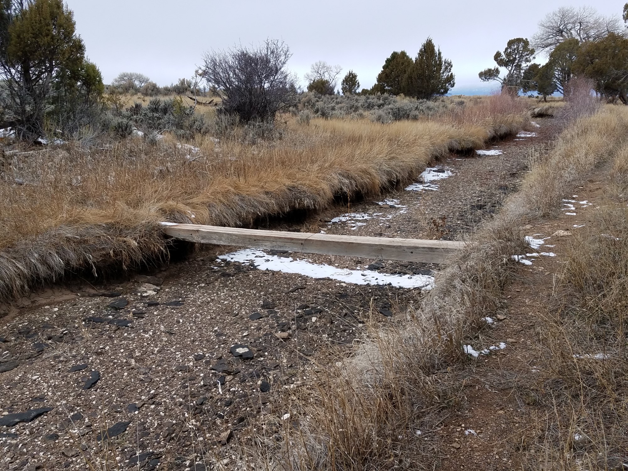 Fruitland canal before salinity control work