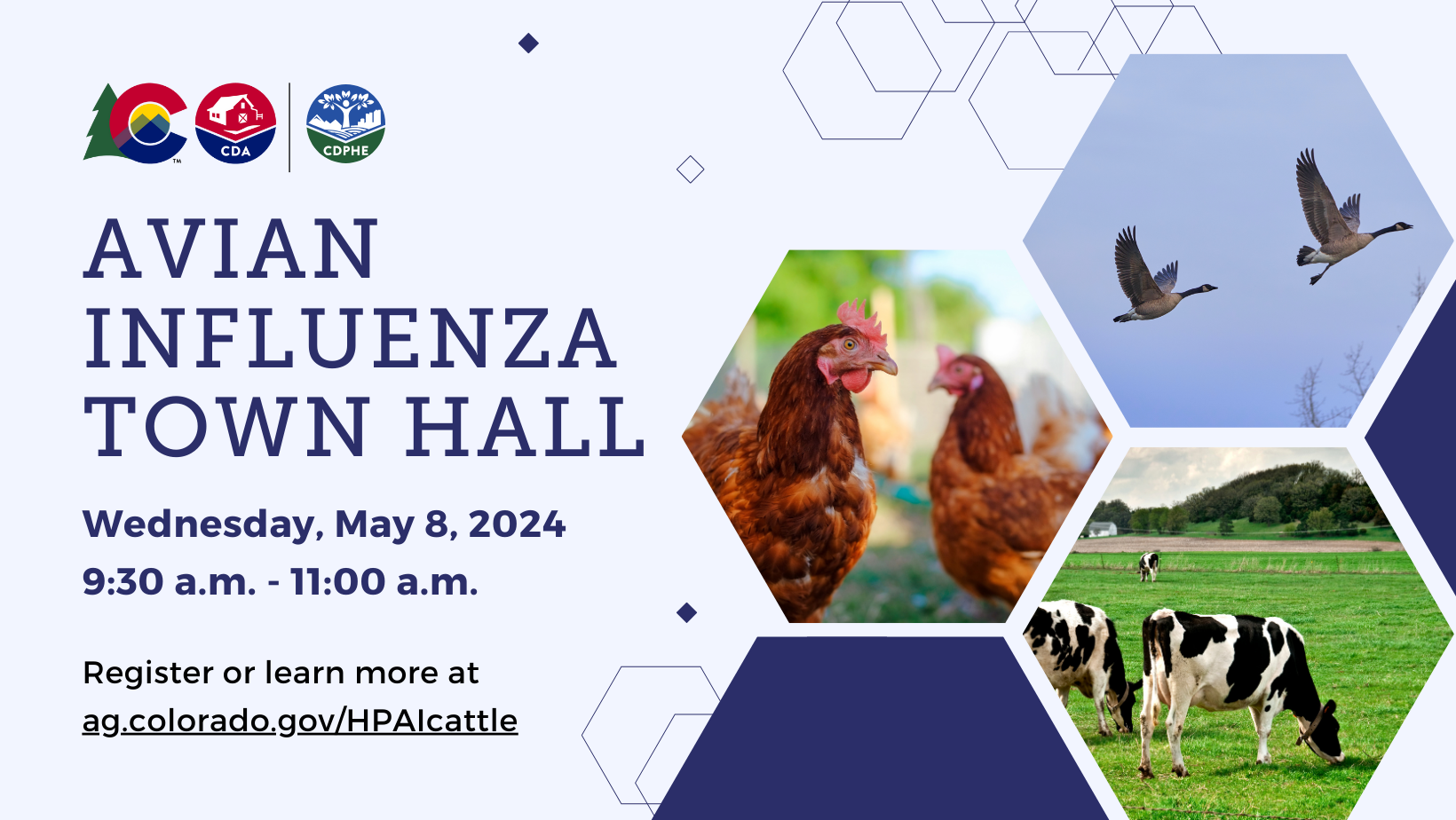 Avian influenza town hall on Wednesday, May 8 at 9:30 am