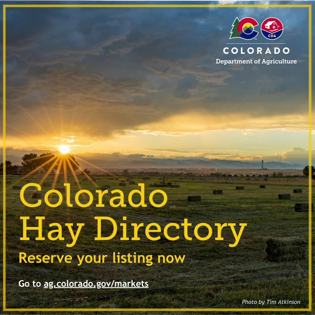 A Colorado meadow with newly baled hay