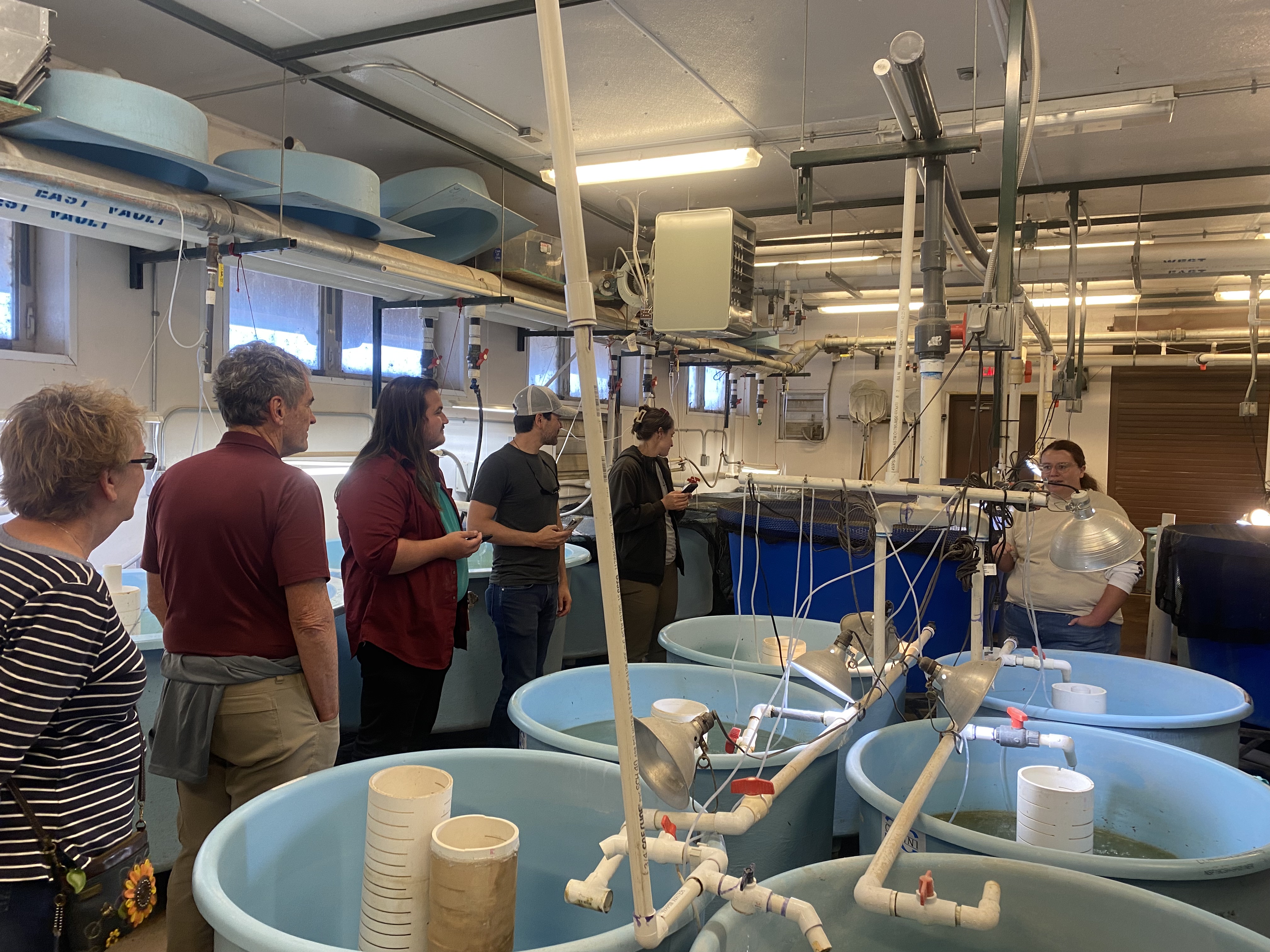 A group of 6 people surround large blue tubs of aquatic species in a Native Aquatic Species Restoration facility.