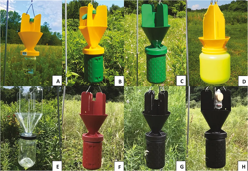 Eight variations of Japanese beetle traps