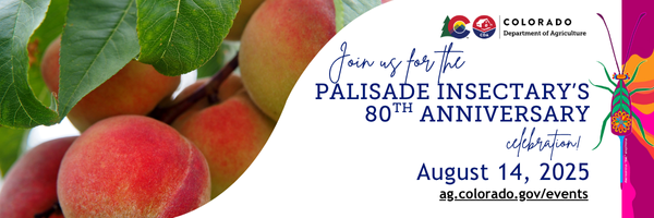 Peaches growing on a tree: Join us for the Palisade Insectary's 80th Anniversary Celebration on August 14, 2025