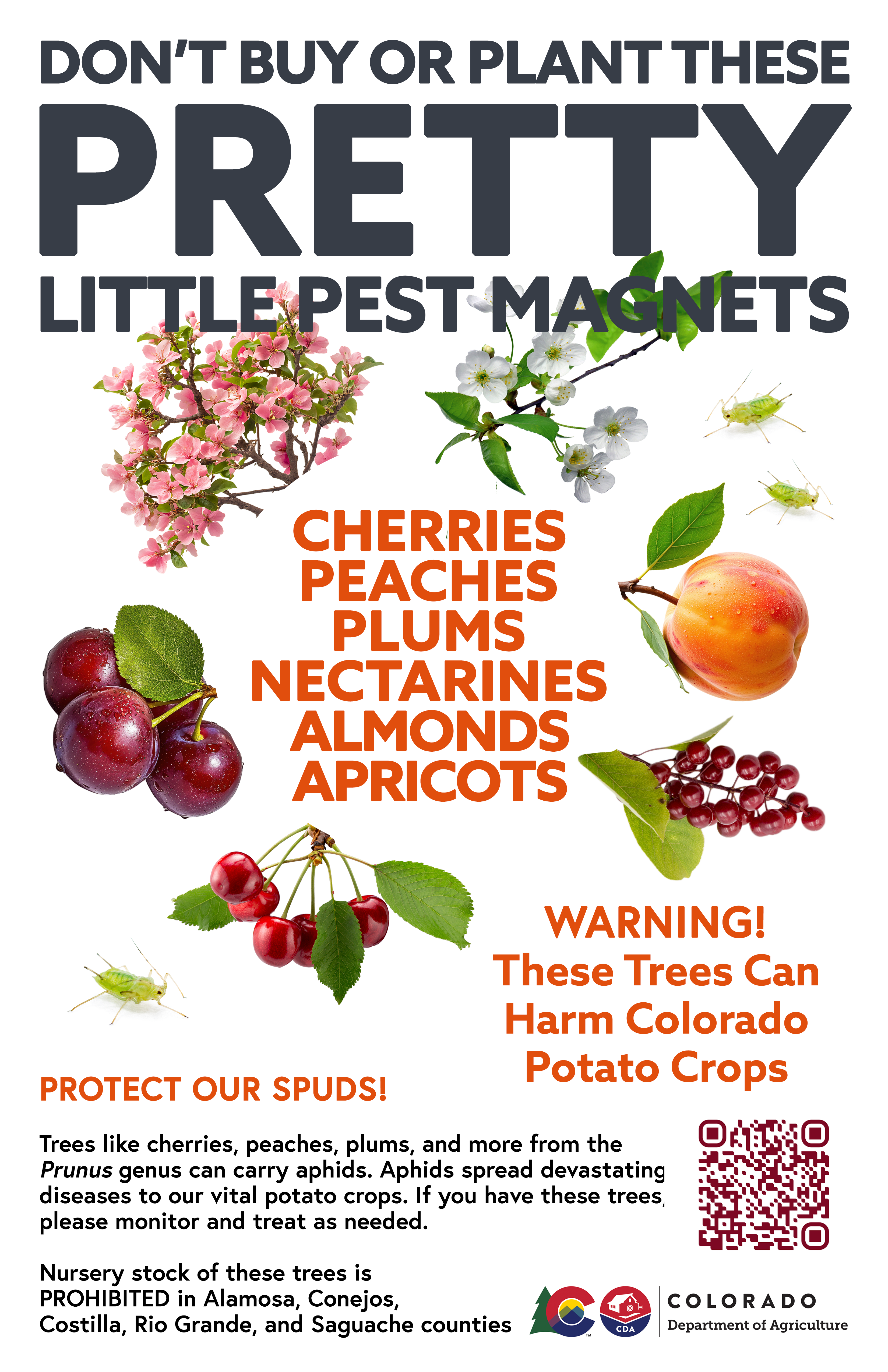 Don't buy or plant these pretty little pest magnets in the San Luis Valley: Cherries, peaches, plums, nectarines, almonds, apricots and many more