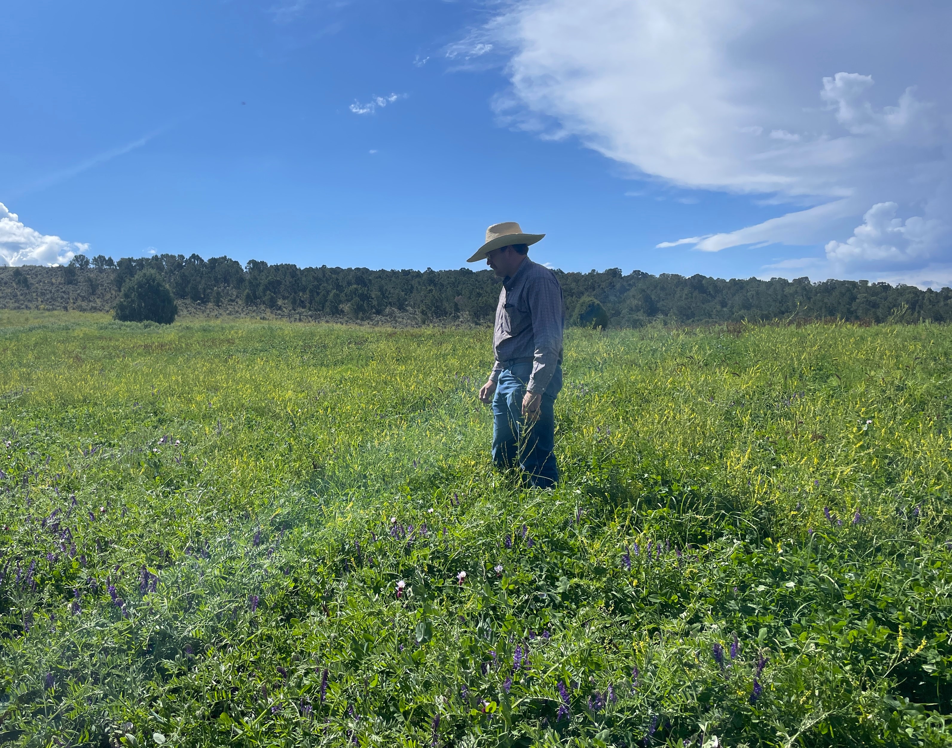 Reece Melton in the Milagro Ranch field