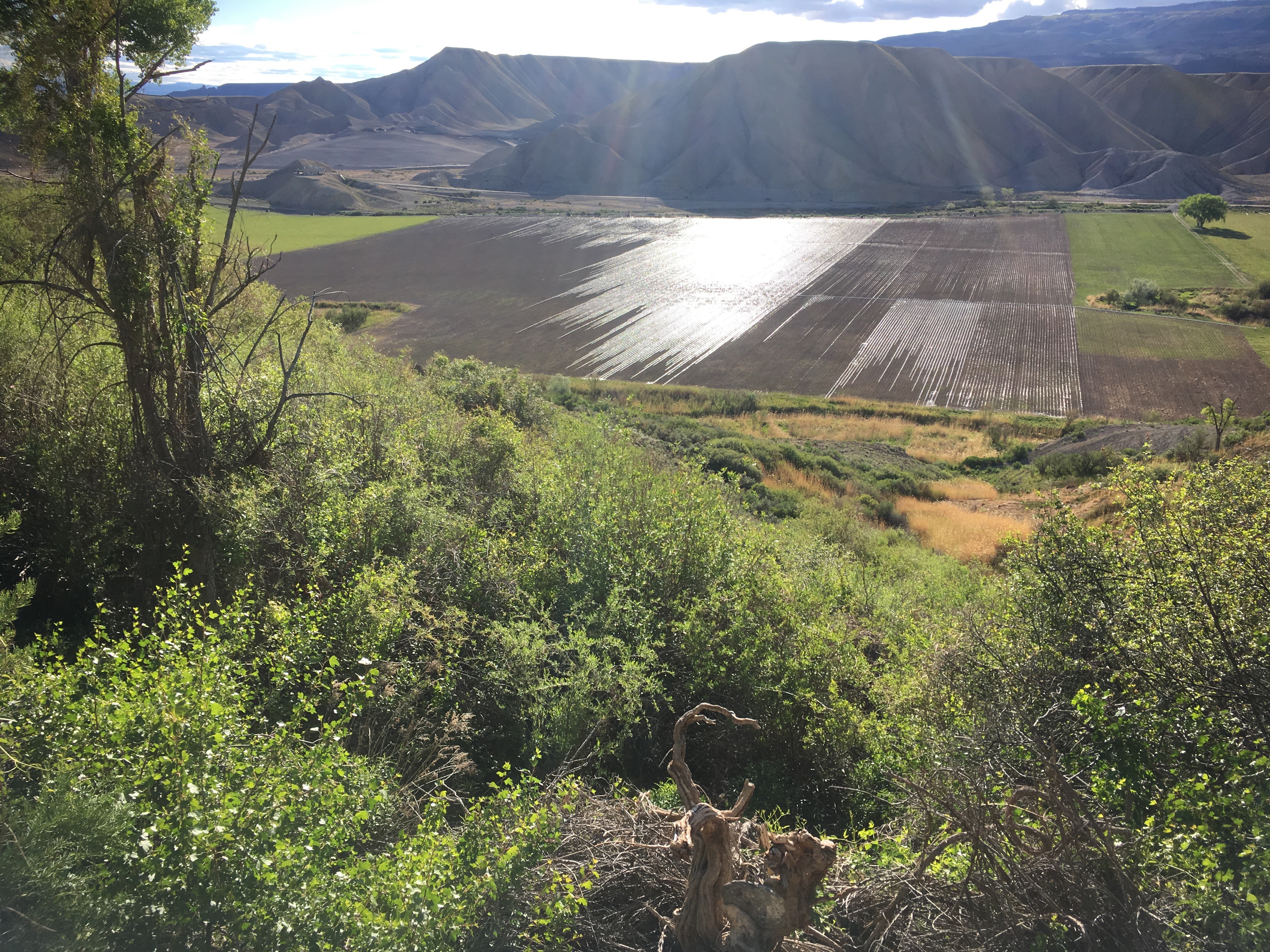 Overlooking a large field against a mountainous backdrop with water glistening in the sunlight