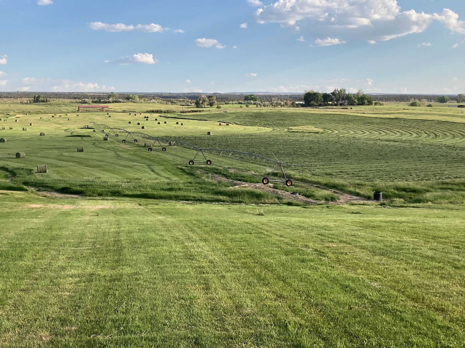 A large green field in the sunny daylight with bales of hay scattered and an irrigation sprinkler
