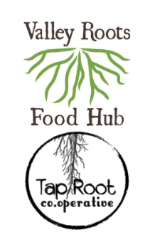 Valley Roots and Tap Root logo featuring root images