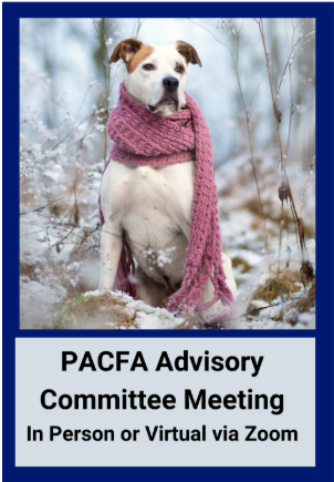 PACFA Advisory Committee Meeting In person or virtual via Zoom. White and brown dog in a winter forest wearing a pink scarf.