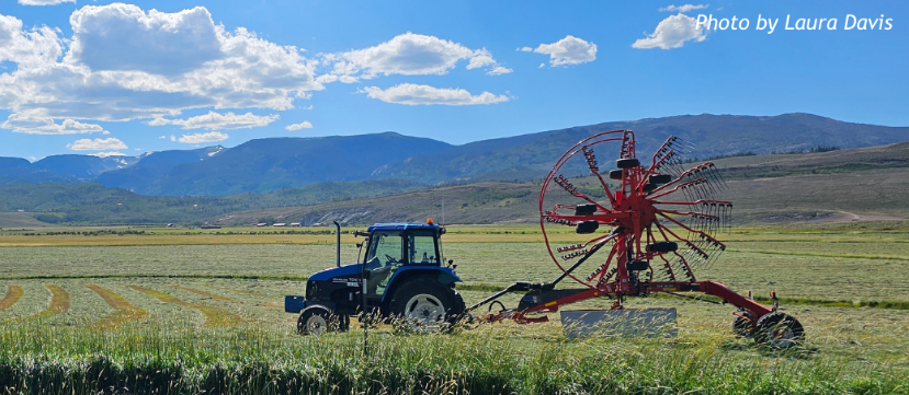 Blue tractor with a red implement in a green field with mountains in the background