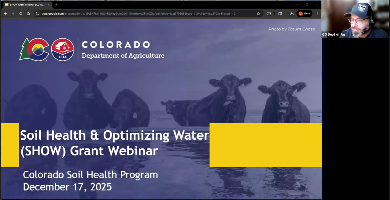Screenshot of the SHOW grant webinar