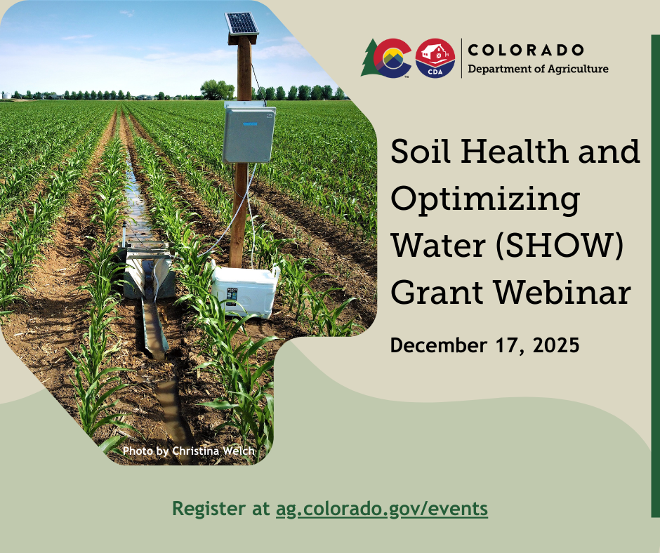 Soil moisture monitor stands in a field of row crops