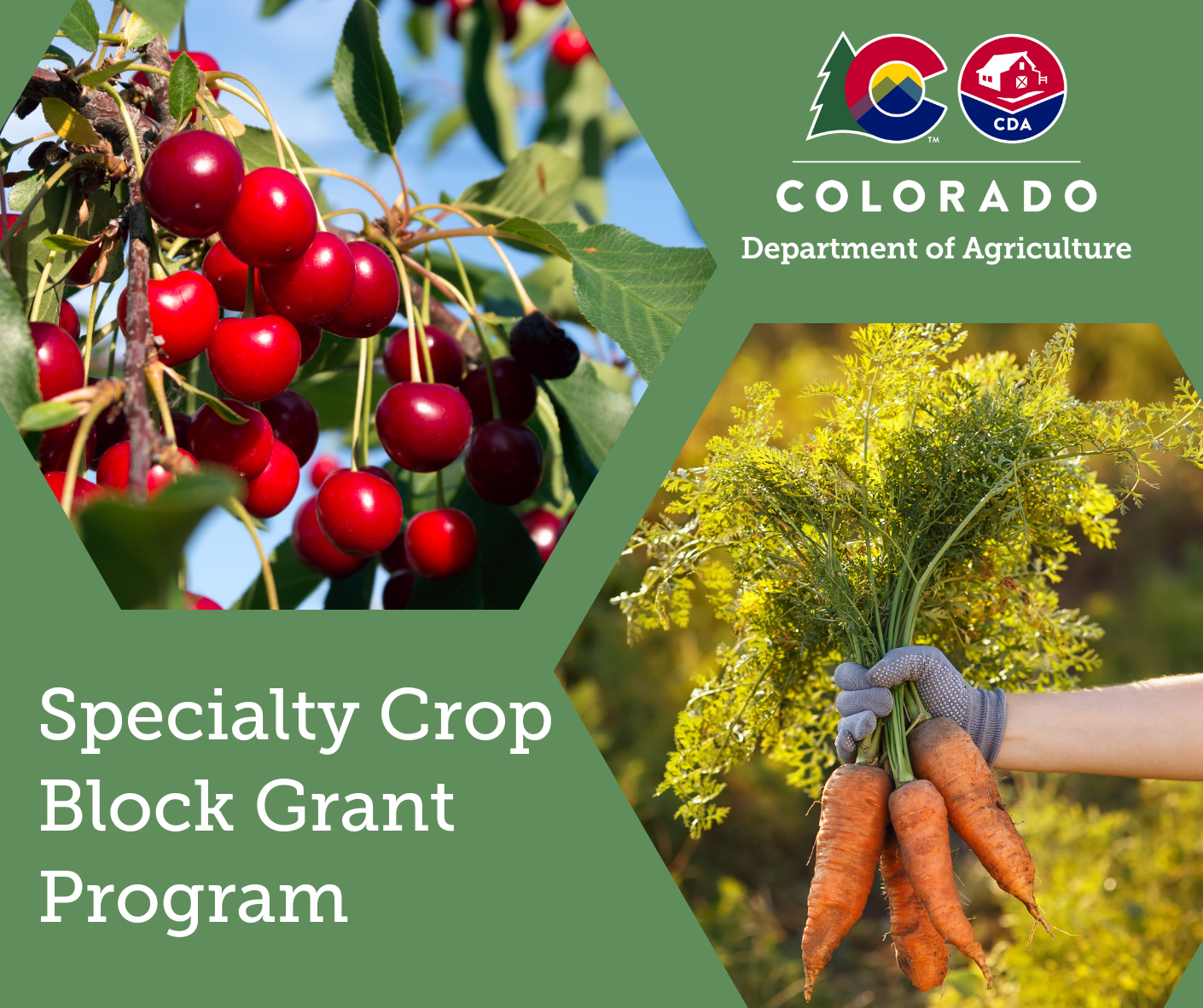 Closeup of cherries and a closeup of carrots with the words Specialty Crop Block Grant Program