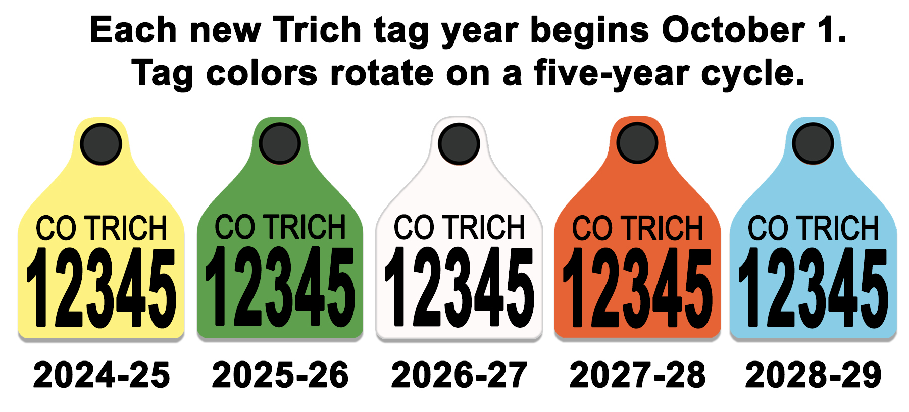 Shows the five colors of Trich Tags. Yellow is the current tag for the 2024-2025