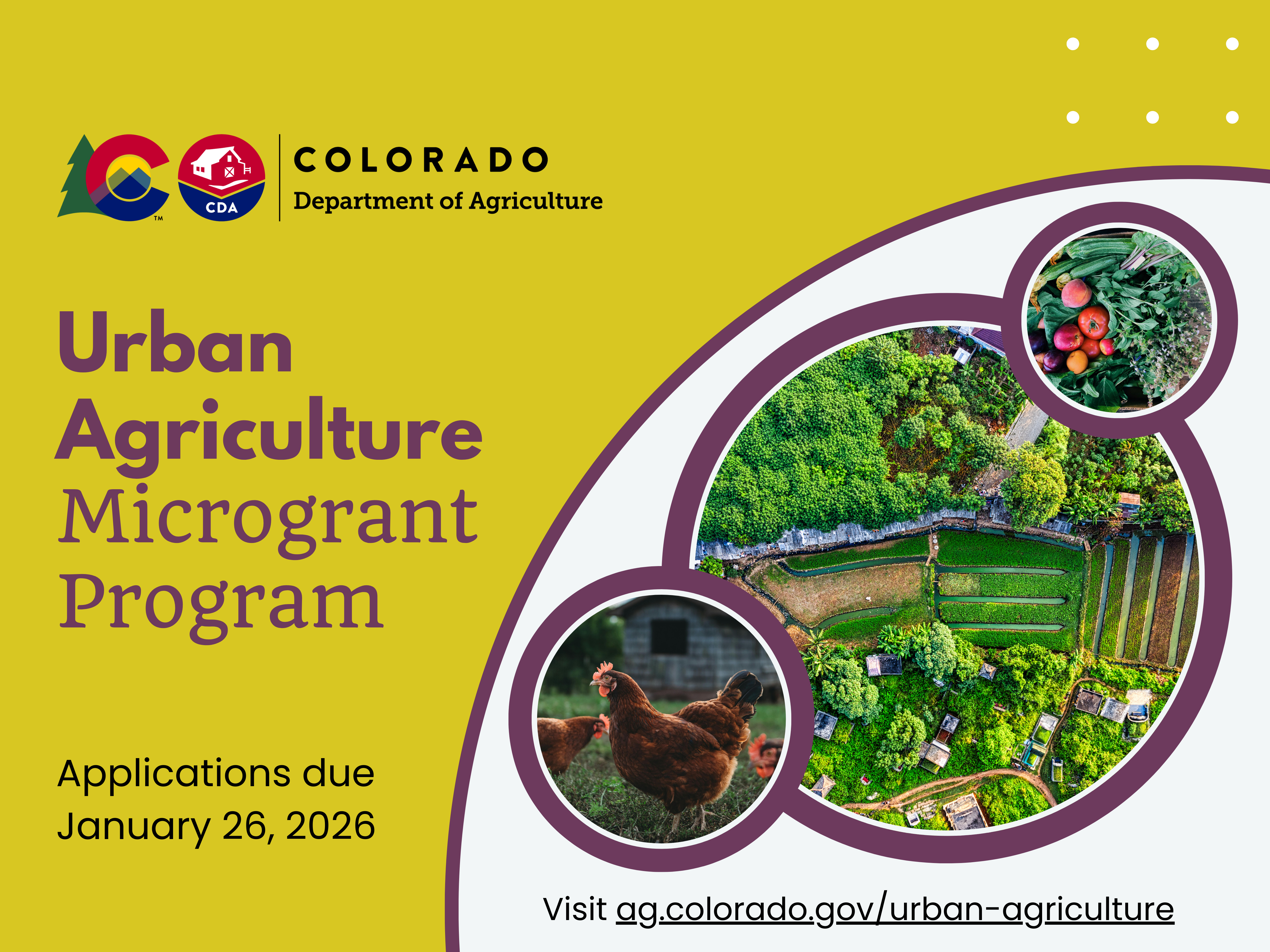 Overhead view of an urban farm and closeups of backyard chickens and small harvest