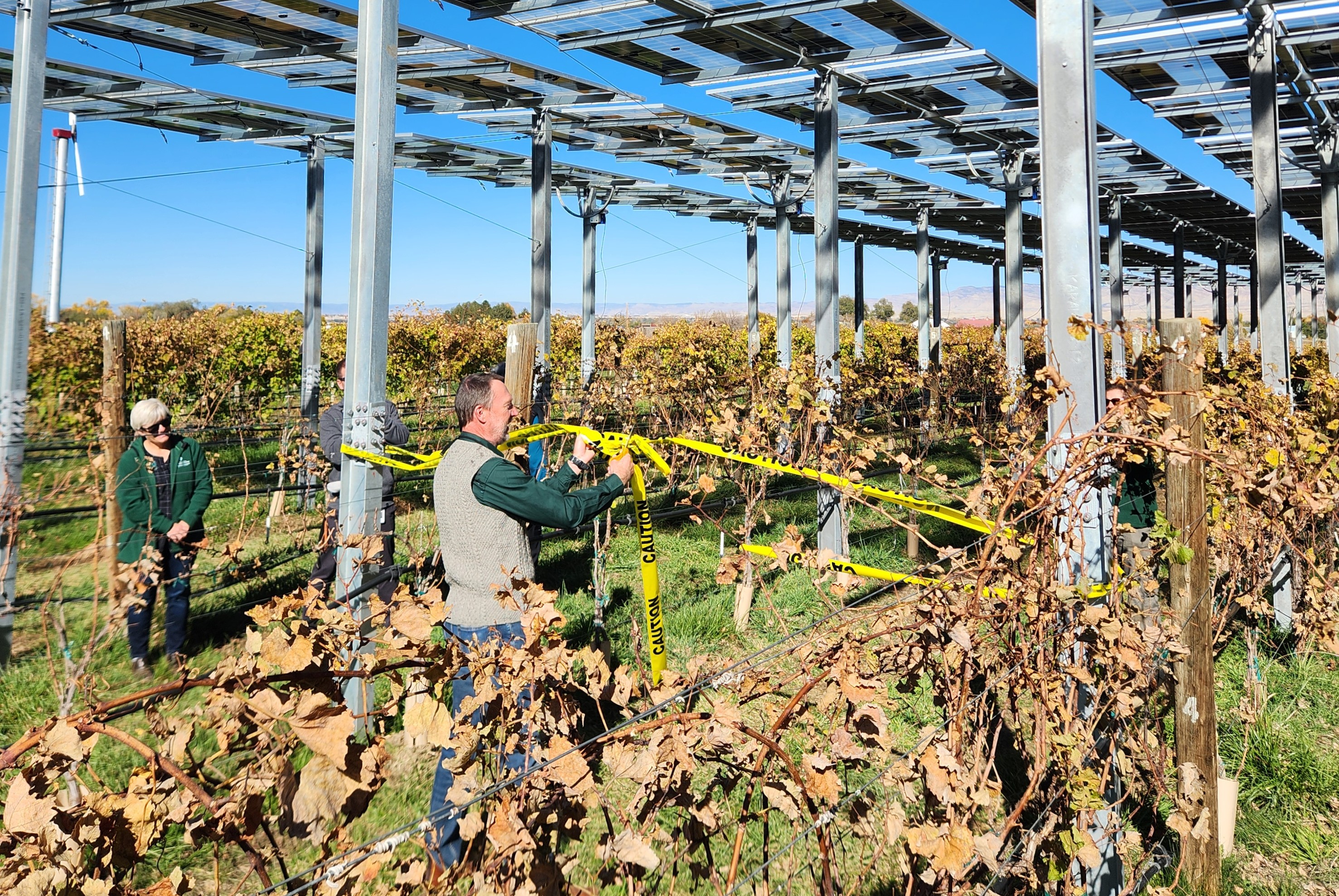 A man cuts a caution tape ribbon at a vinyard