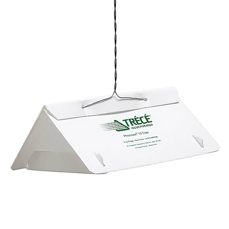Triangle-shaped pest trap