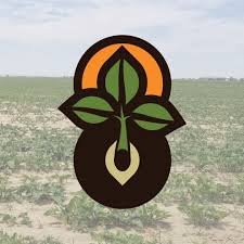 The logo for CAAMHP which is a green seedling with an orange sun behind it