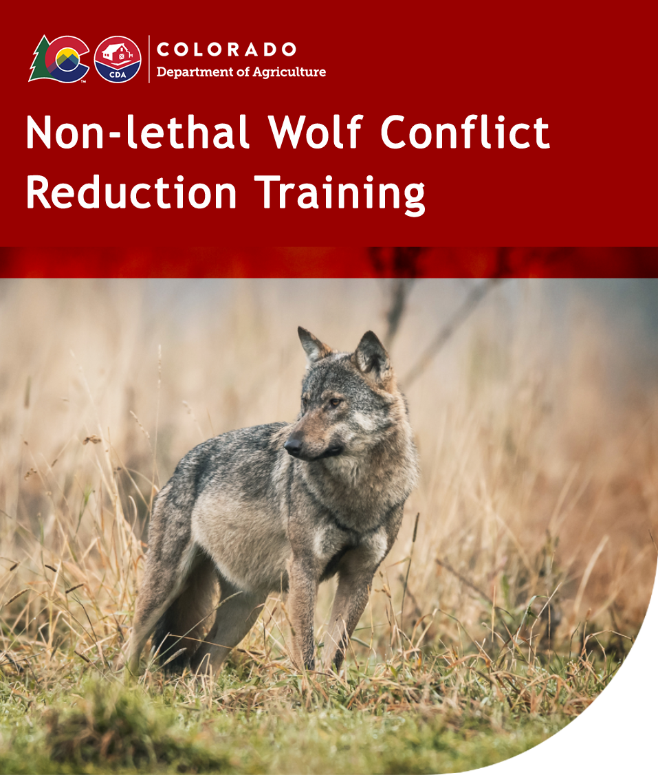 A gray wolf stands in the middle of a grassy field, with words Non-lethal Wolf Conflict Reduction Training and the CDA logo