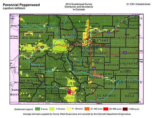 Perennial Pepperweed Map