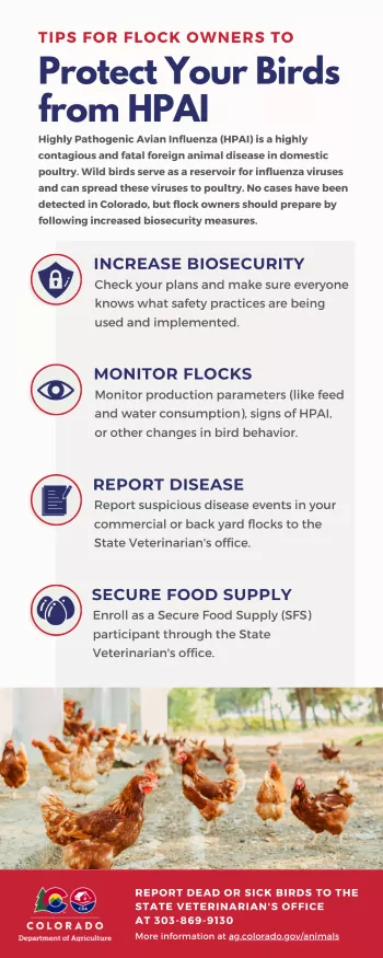 HPAI Infographic 350px