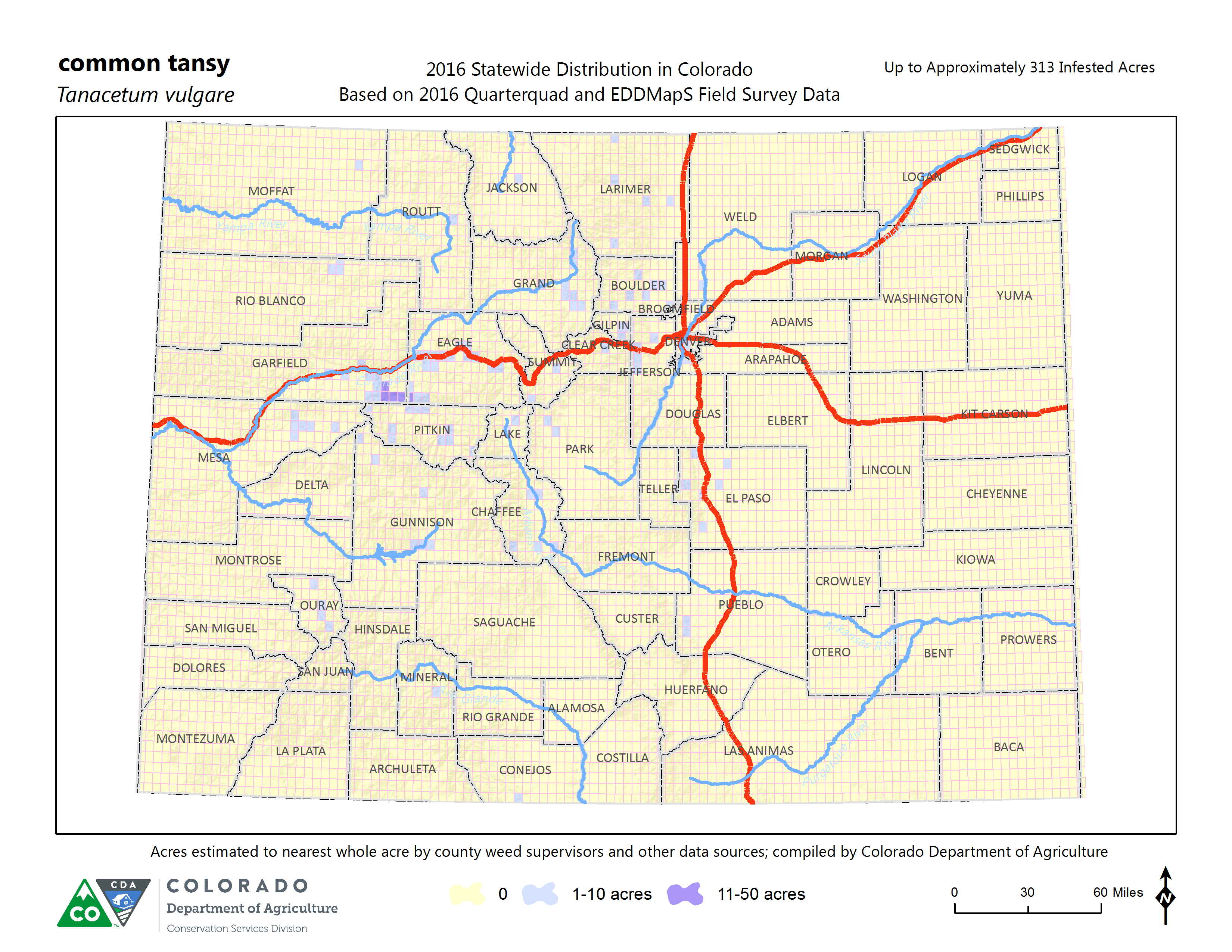 Common Tansy map