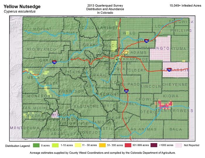 Yellow nutsedge map