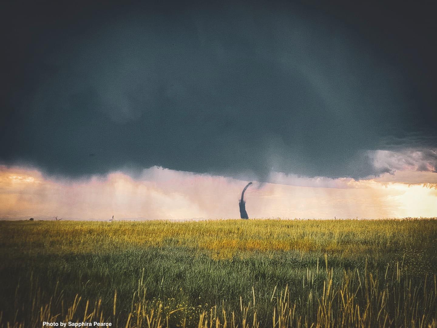 A dark storm cloud drops a forming tornado in the horizon of a meadowy field.