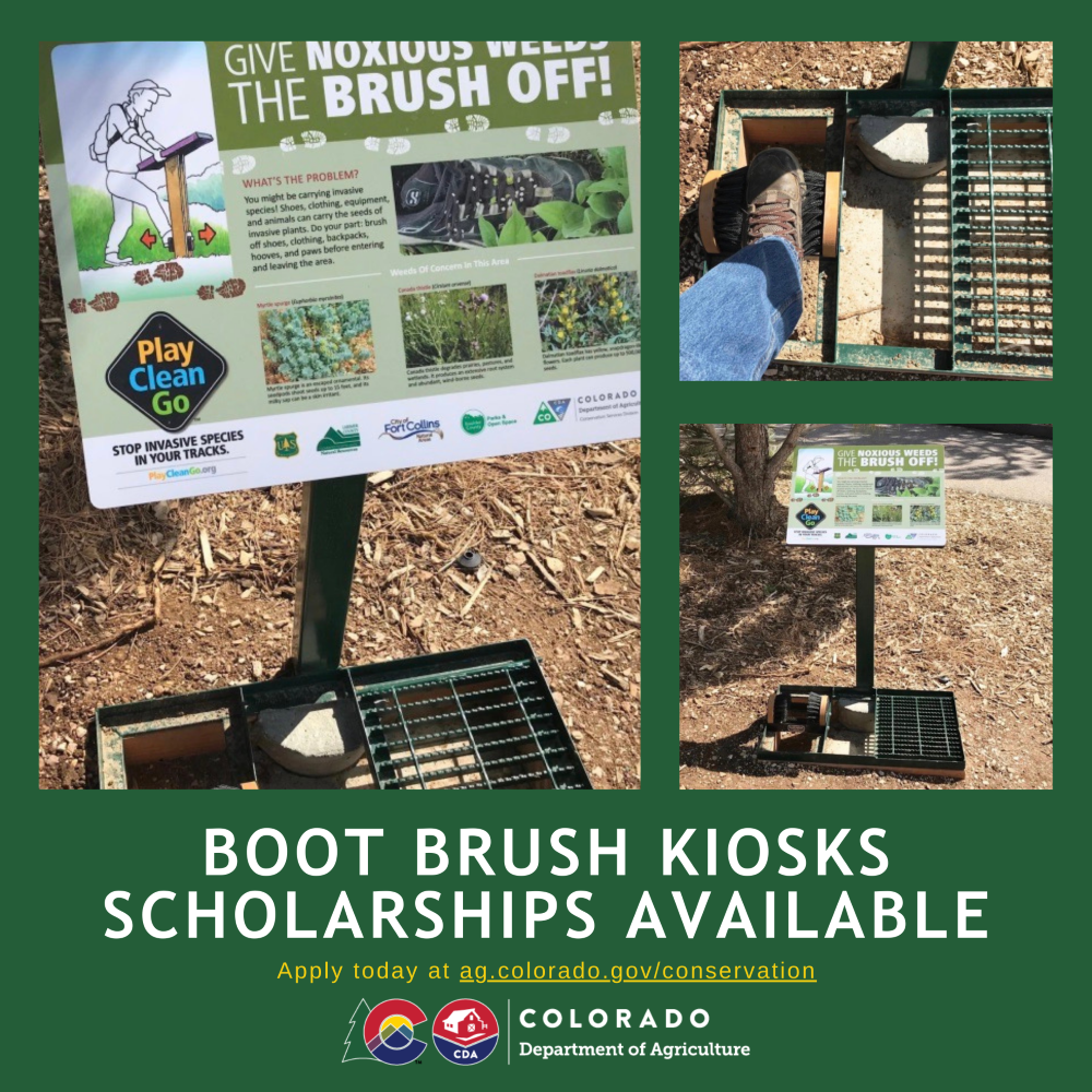 Boot Brush Kiosk scholarships available 