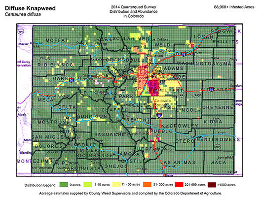 Diffuse Knapweed Map