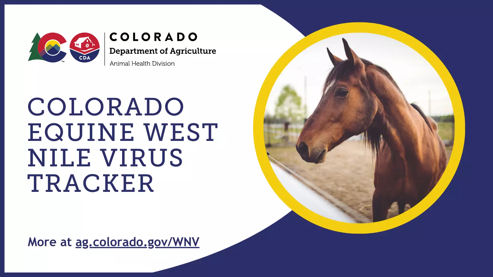 Colorado response to Equine West Nile Virus