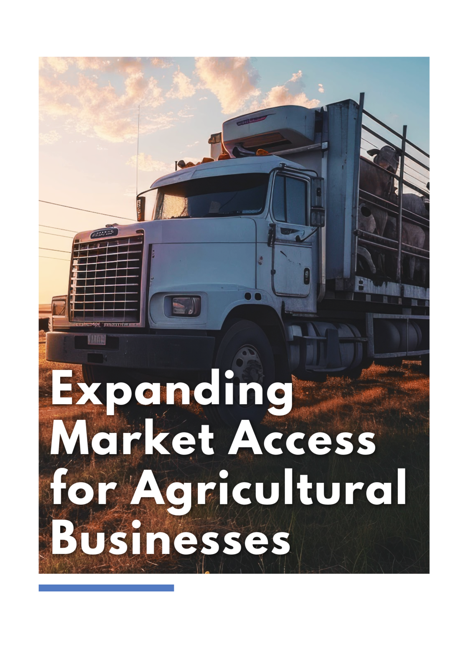 Large truck carrying cattle with text: Expanding Market Access for Agricultural Businesses